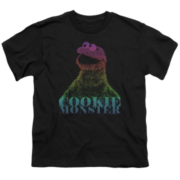 Sesame Street Cm Halftone Youth T-Shirt (Ages 8-12) Youth T-Shirt (Ages 8-12) Sesame Street