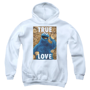 Sesame Street Beautiful Cookies Youth Hoodie (Ages 8-12) Youth Hoodie (Ages 8-12) Sesame Street
