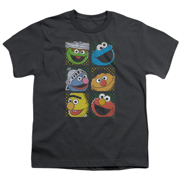 Charcoal youth t-shirt for ages 8 to 12 with Sesame Street Group Squares graphic