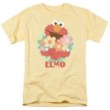 Banana men's regular fit t-shirt with Sesame Street Flowers For You graphic