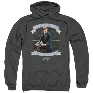 Fantastic Beasts Newt Scamander - Pullover Hoodie Pullover Hoodie Fantastic Beasts