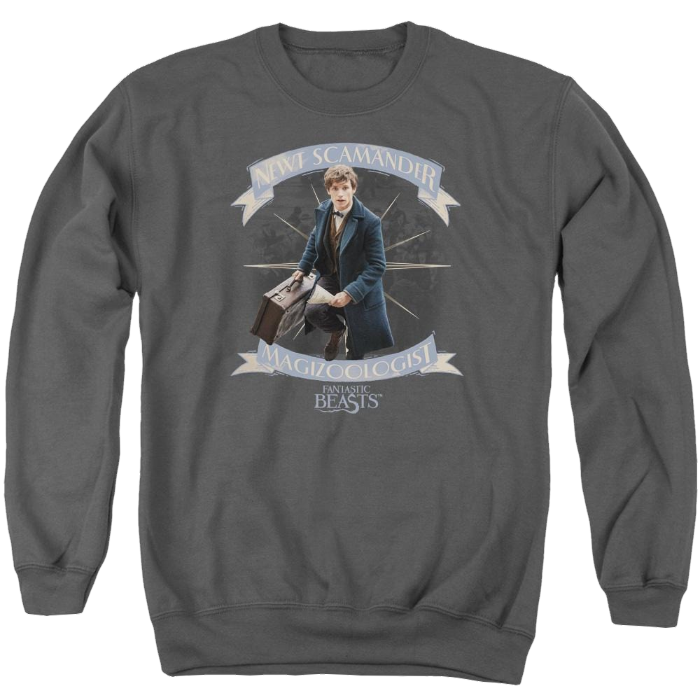 Fantastic Beasts Newt Scamander - Men's Crewneck Sweatshirt Men's Crewneck Sweatshirt Fantastic Beasts