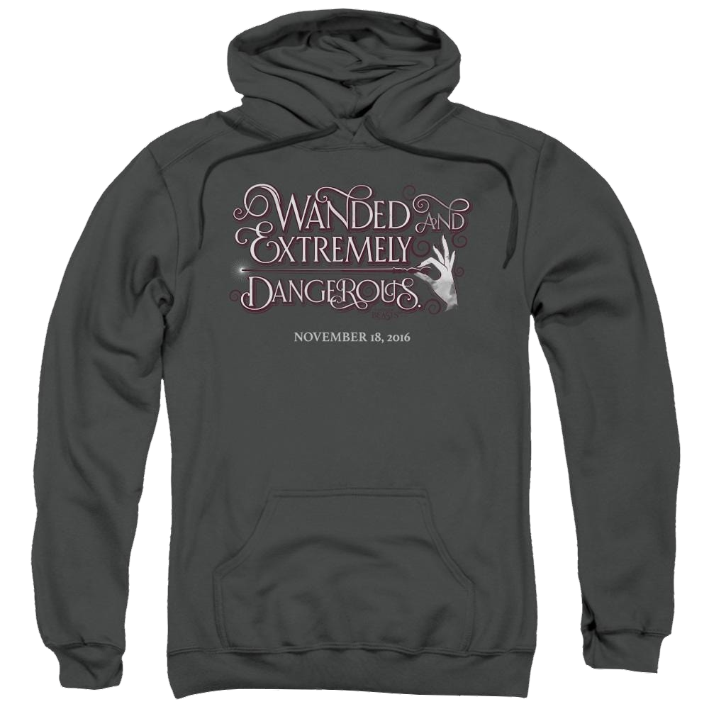 Fantastic Beasts Wanded - Pullover Hoodie Pullover Hoodie Fantastic Beasts