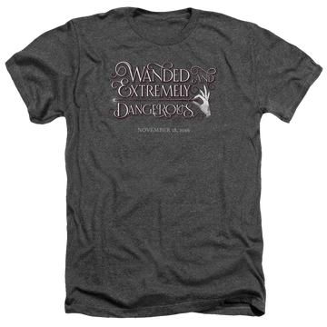 Charcoal men's heather t-shirt with Fantastic Beasts Wanded graphic