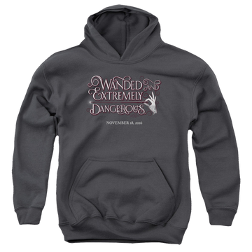 Charcoal youth hoodie for ages 8 to 12 with Fantastic Beasts and Where to Find Them Wanded graphic