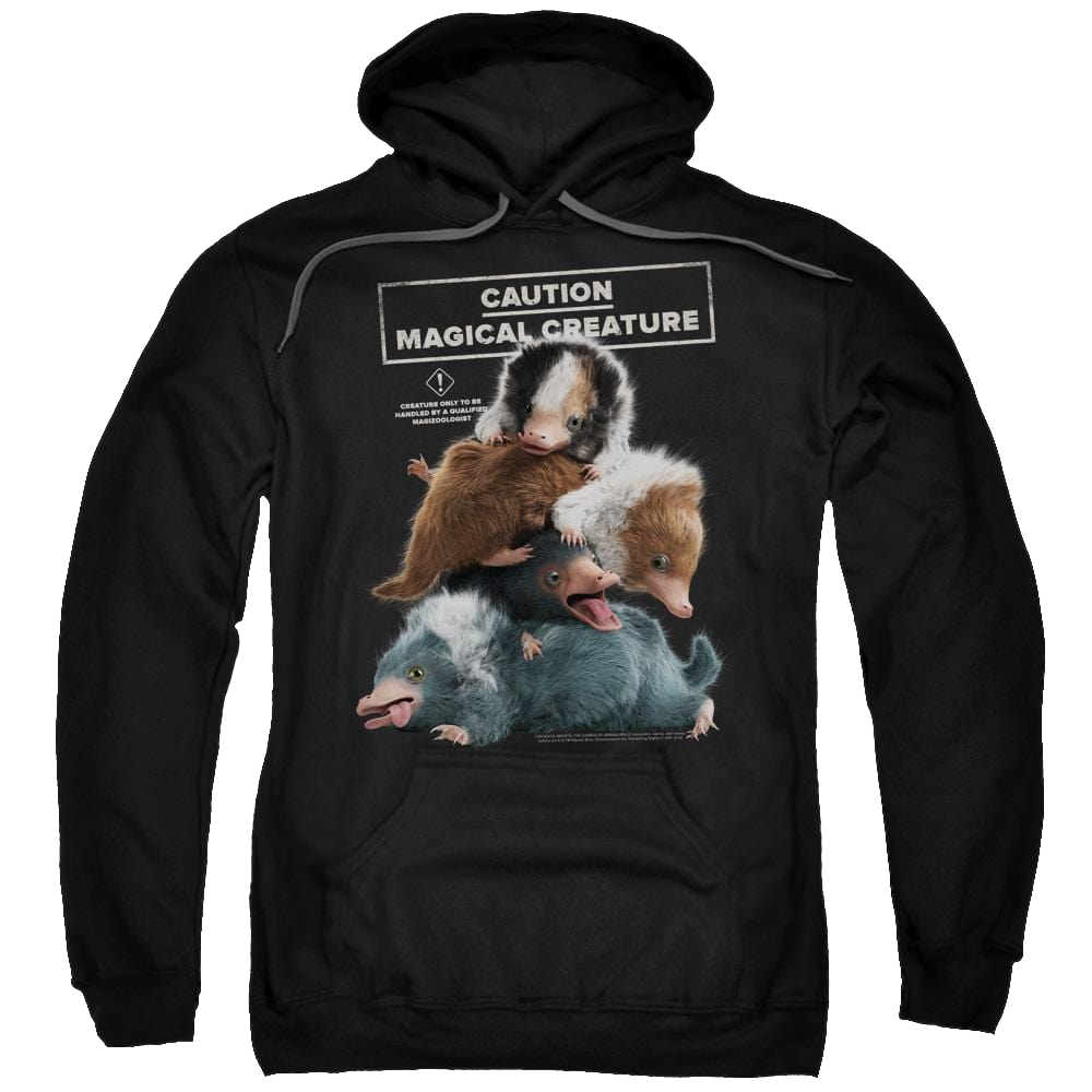 Fantastic Beasts Grindlewald Cuddle Puddle - Pullover Hoodie Pullover Hoodie Fantastic Beasts