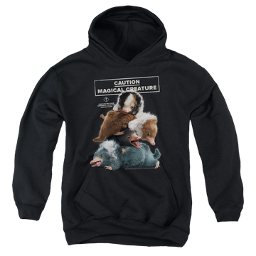 Black youth hoodie for ages 8 to 12 with Fantastic Beasts Cuddle Puddle graphic