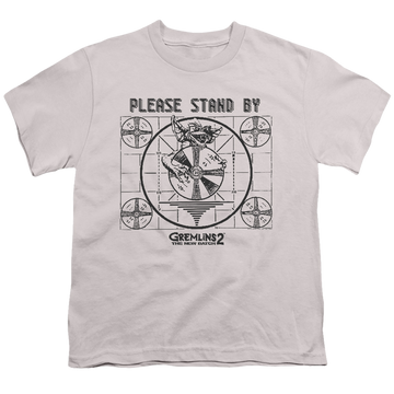 Mortal Kombat Please Stand By - Youth T-Shirt Youth T-Shirt (Ages 8-12) Mortal Kombat