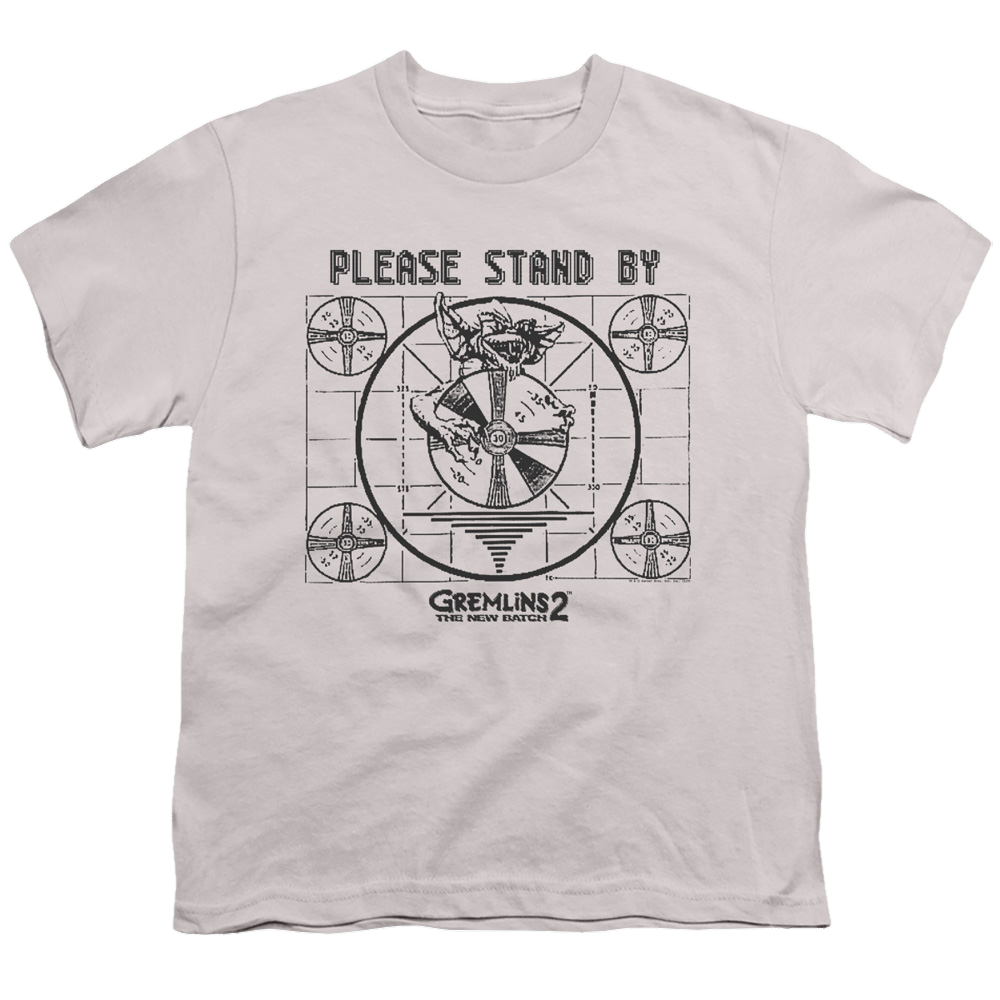 Mortal Kombat Please Stand By - Youth T-Shirt Youth T-Shirt (Ages 8-12) Mortal Kombat