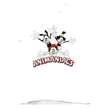 White kid's t-shirt for ages 4 to 7 with Animaniacs Trio graphic