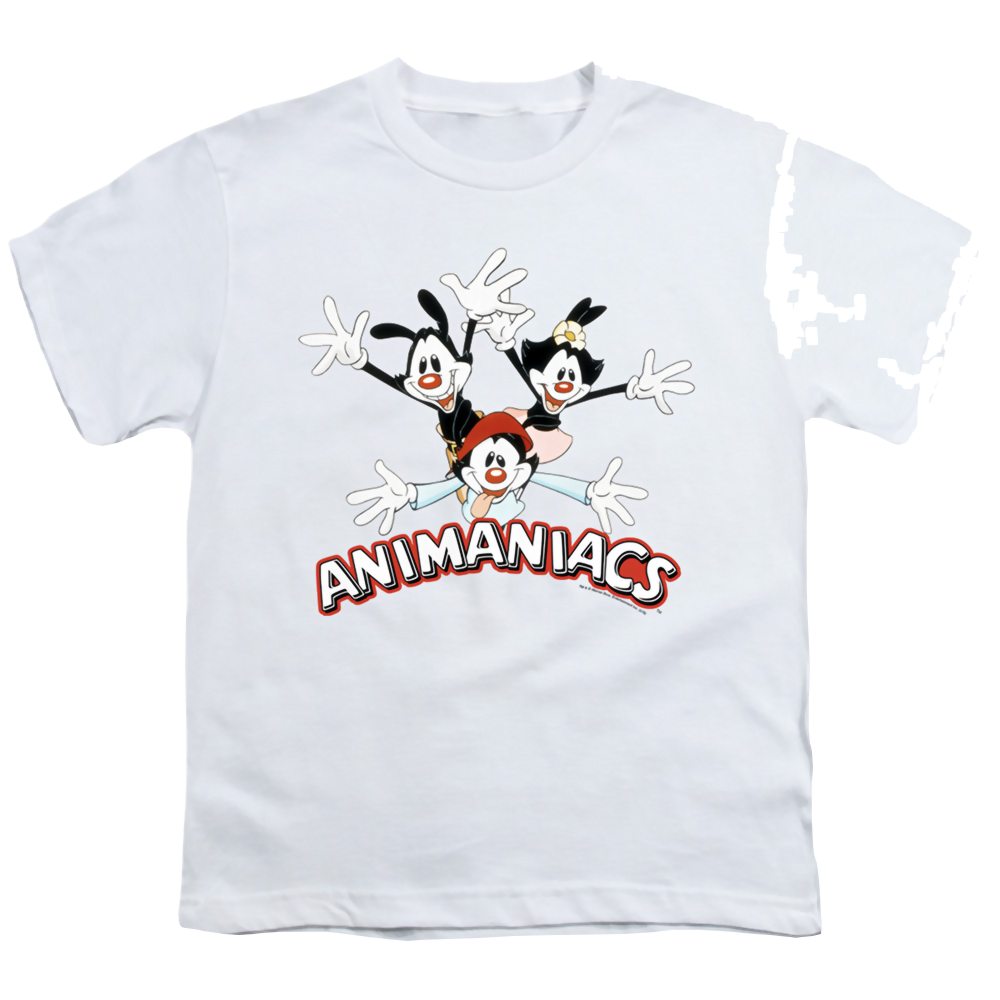 Animaniacs Animaniacs Trio - Youth T-Shirt Youth T-Shirt (Ages 8-12) Animaniacs