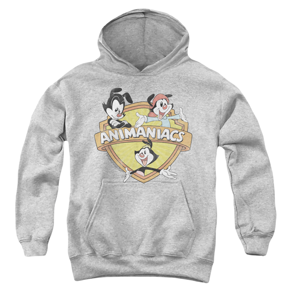 Animaniacs Shielded Animaniacs - Youth Hoodie Youth Hoodie (Ages 8-12) Animaniacs