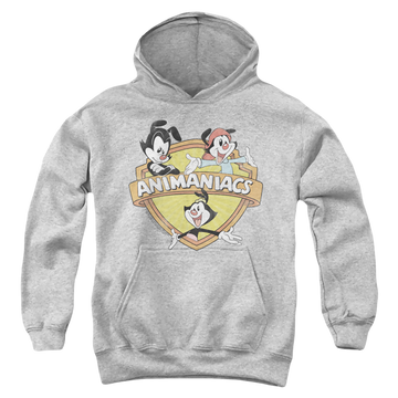 Athletic heather youth hoodie for ages 8 to 12 with Shielded Animaniacs graphic
