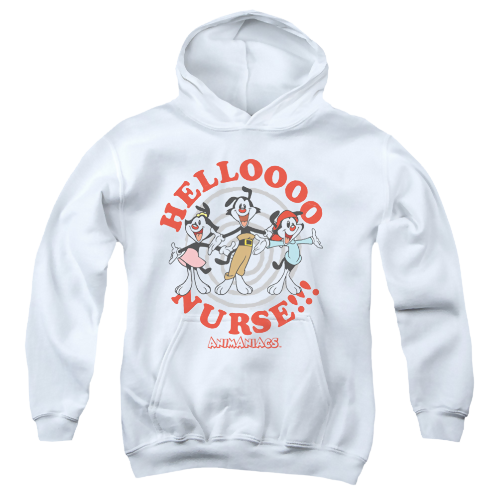 Animaniacs Hello Nurse - Youth Hoodie Youth Hoodie (Ages 8-12) Animaniacs