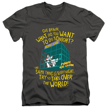 Charcoal men's v-neck t-shirt with Pinky and The Brain The World graphic