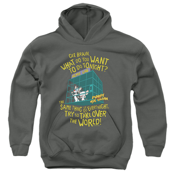Charcoal youth hoodie for ages 8 to 12 with Pinky and The Brain The World graphic