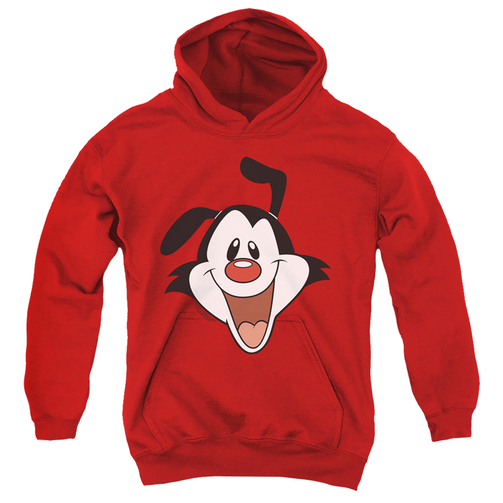 Animaniacs Yakko Head - Youth Hoodie Youth Hoodie (Ages 8-12) Animaniacs