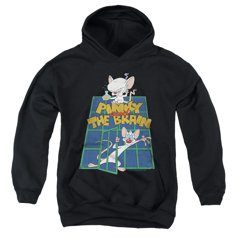 Pinky And The Brain Ol Standard - Youth Hoodie Youth Hoodie (Ages 8-12) Pinky and The Brain