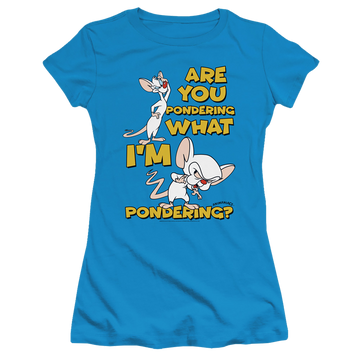 Turquoise juniors t-shirt with Pinky and The Brain Pondering graphic