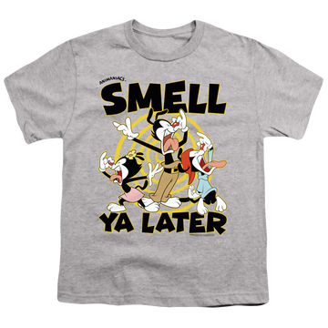 Athletic heather youth t-shirt for ages 8 to 12 with Animaniacs Smell Ya Later graphic