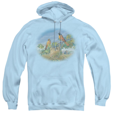 Light blue pullover hoodie with Wild Wings Orioles And Farm graphic