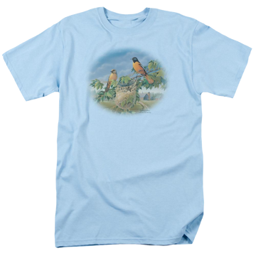 Light blue men's regular fit t-shirt with Wild Wings Orioles And Farm graphic