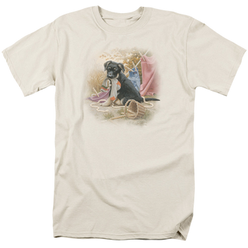 Cream men's regular fit t-shirt with Wild Wings Hanging Out graphic