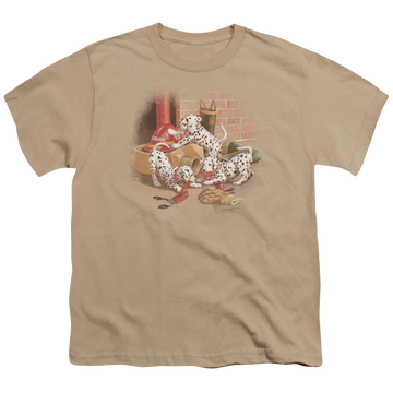 Sand youth t-shirt for ages 8 to 12 with Wild Wings Wheres The Fire? graphic