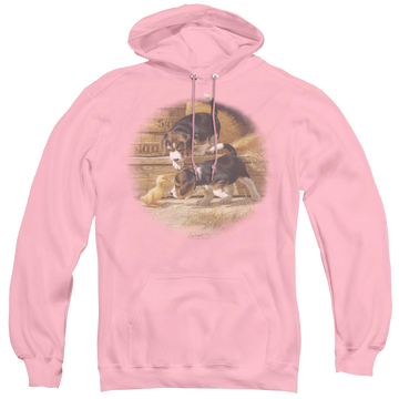 Pink pullover hoodie with Wild Wings Getting Acquainted graphic