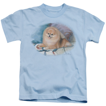 Light blue kid's t-shirt for ages 4 to 7 with Wild Wings Pomeranian Portrait graphic
