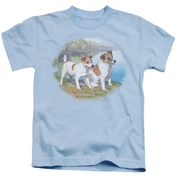 Light blue kid's t-shirt for ages 4 to 7 with Wild Wings Jack By Water graphic