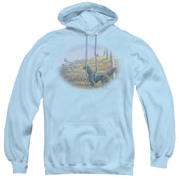 Light blue pullover hoodie with Wild Wings Looking Back graphic