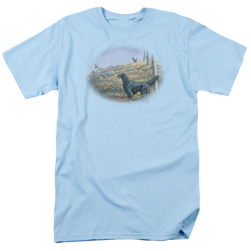 Light blue men's regular fit t-shirt with Wild Wings Looking Back graphic