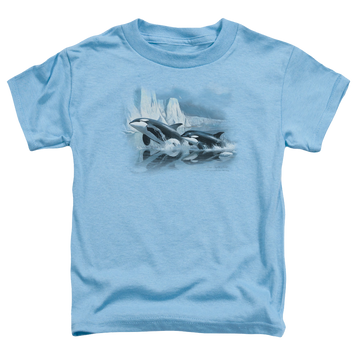 Carolina blue toddler t-shirt with Wild Wings Glaciers Edge Orcas graphic