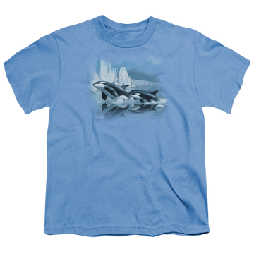 Carolina blue youth t-shirt for ages 8 to 12 with Wild Wings Glaciers Edge Orcas graphic