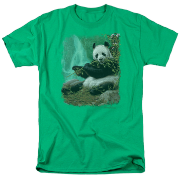 Kelly green men's regular fit t-shirt with Wild Wings Citizen Of Heaven On Earth graphic