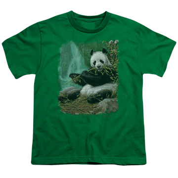 Kelly green youth t-shirt for ages 8 to 12 with Wild Wings Citizen Of Heaven On Earth graphic