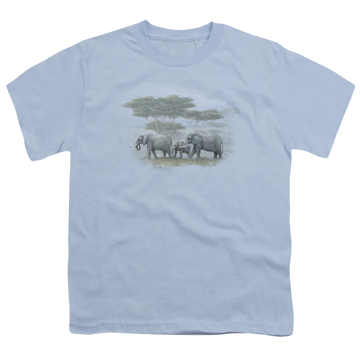 Light blue youth t-shirt for ages 8 to 12 with Wild Wings Heart Of Africa graphic
