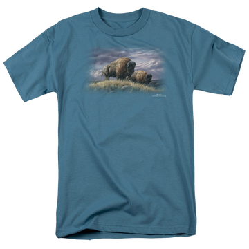 Slate men's regular fit t-shirt with Wild Wings Nomads Of The Plains graphic