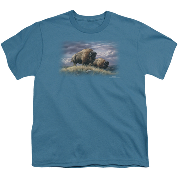 Slate youth t-shirt for ages 8 to 12 with Wild Wings Nomads Of The Plains graphic
