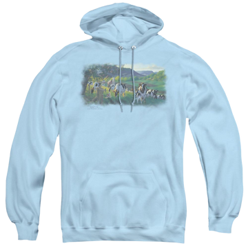 Light blue pullover hoodie with Wild Wings Gods Country graphic