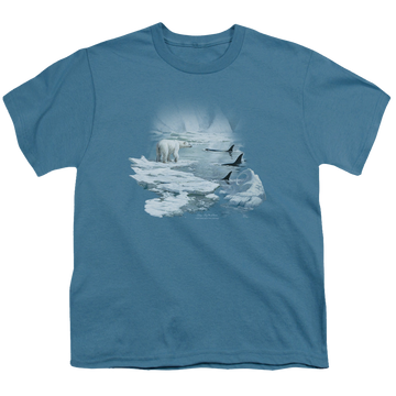 Slate youth t-shirt for ages 8 to 12 with Wild Wings Glaciers Egdge graphic