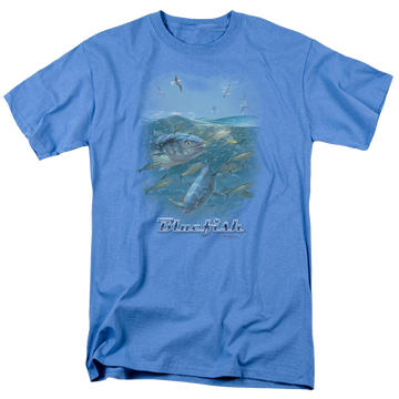 Carolina blue men's regular fit t-shirt with Wild Wings Blue Mayhem graphic