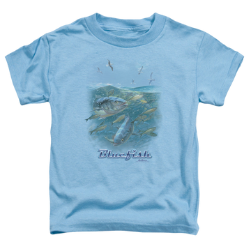 Carolina blue toddler t-shirt with Wild Wings Blue Mayhem graphic