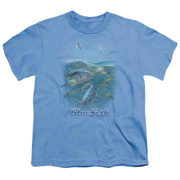 Carolina blue youth t-shirt for ages 8 to 12 with Wild Wings Blue Mayhem graphic