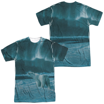 Wild Wings Polar Night Light men's all-over print t-shirt