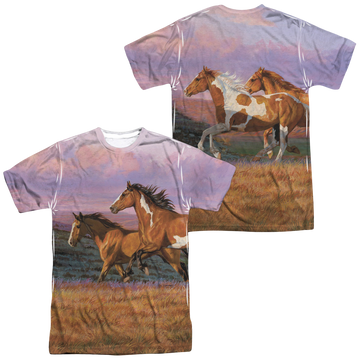 Wild Wings Sunset Cruise men's all-over print t-shirt
