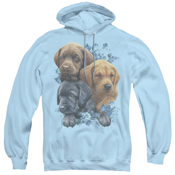 Light blue pullover hoodie with Wild Wings Puppy Pile graphic