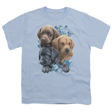 Light blue youth t-shirt for ages 8 to 12 with Wild Wings Puppy Pile graphic