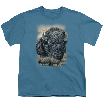 Slate youth t-shirt for ages 8 to 12 with Wild Wings Sunset Buffalo graphic